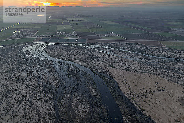 Colorado River  Yuma  Arizona. Fünf Tage zuvor wurde Wasser aus dem Morales-Damm abgelassen  das diesen unteren Abschnitt des Colorado River mit Wasser versorgte. Seit vielen Jahren ist dieser Teil des Flusses trocken oder fast trocken.