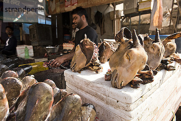 Ziegenköpfe zum Verkauf durch einen Straßenhändler in Jaipur  Indien.