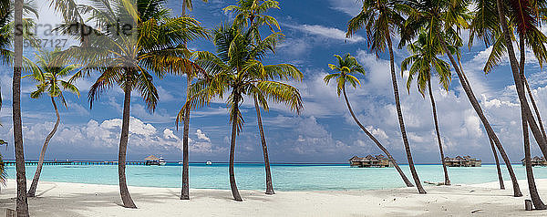 Panoramablick auf den Schatten der Palmen auf der Insel Gili Lankanfushi  Malediven