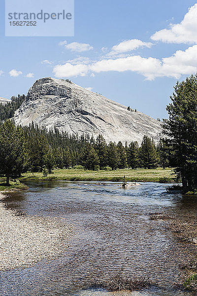 Blick auf den Tuolumne River im Yosemite National Park