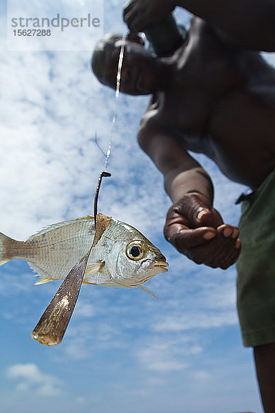 Blick von unten auf einen Mann ohne Hemd  der eine Angel mit Fischen hält  Isla Marisol  Belize