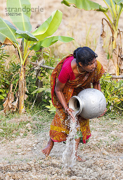 Eine Subsistenzbäuerin bewässert ihren Gemüsegarten von Hand in den Sunderbans im Ganges-Delta in Indien. Das Gebiet liegt sehr niedrig und ist durch den Anstieg des Meeresspiegels gefährdet.