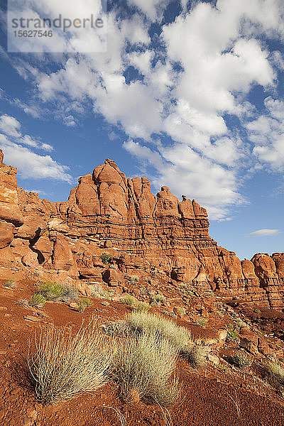 Ungewöhnliche Felsformationen unterhalb des Turks Head  Canyonlands National Park  Utah.