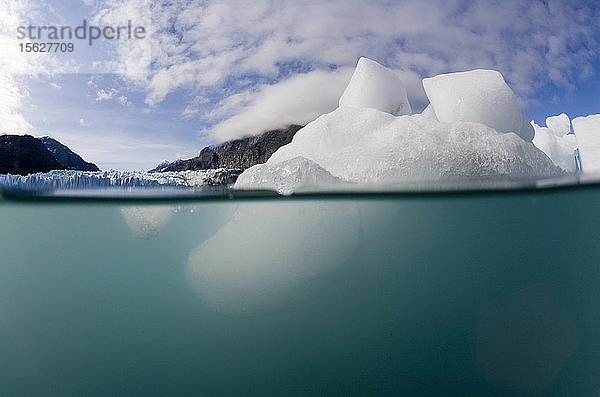 USA  Alaska  Glacier Bay National Park  Unterwasserblick auf Eisberge vom Margerie-Gletscher