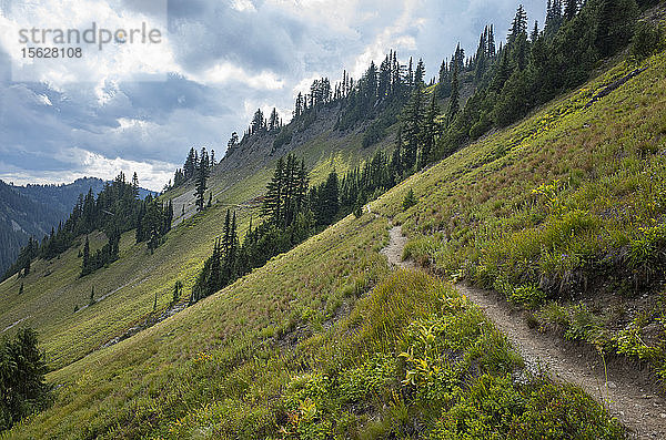 Blick auf den Pacific Crest Trail in alpiner Wiese  Goat Rocks Wilderness  Gifford Pinchot National Forest  Washington