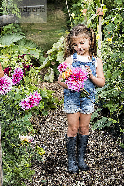 Mädchen in Denim-Latzhose steht in einem Garten und hält rosa Dahlien.