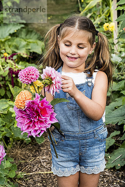Mädchen in Denim-Latzhose steht in einem Garten und hält rosa Dahlien.