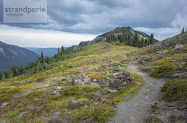 Blick auf den Pacific Crest Trail in alpiner Wiese  Goat Rocks Wilderness  Gifford Pinchot National Forest  Washington