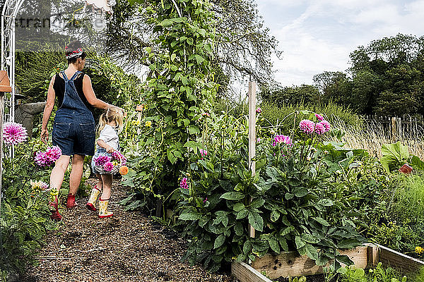 Mädchen und Frau gehen durch einen Garten und tragen Körbe mit rosa Dahlien.