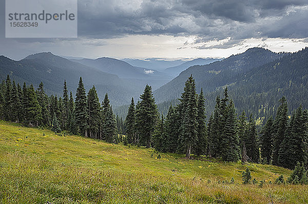 Sturmwolken über der Goat Rocks Wilderness  im Vordergrund saftige alpine Wiesen  Gifford Pinchot National Forest  Washington