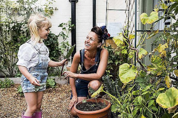 Lächelnde Frau und Mädchen in einem Garten  pflücken frisches Gemüse.
