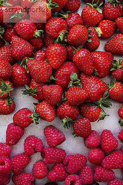 Frische Erdbeeren und Himbeeren