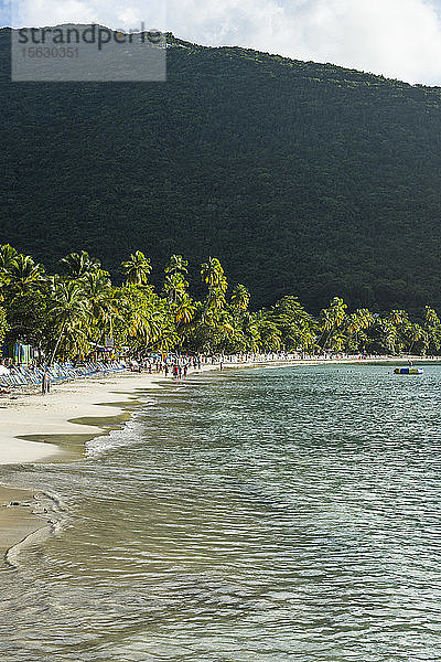 Szenische Ansicht von Palmen  die am Strand gegen den Berg wachsen  Tortola  Britische Jungferninseln