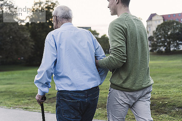 Rückenansicht eines jungen Mannes  der seinem Großvater beim Spazierengehen im Park hilft