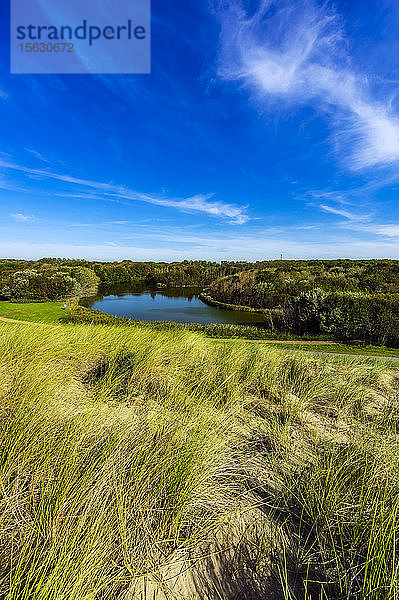 Niederlande  Zeeland  Vlissingen  Küstenlandschaft