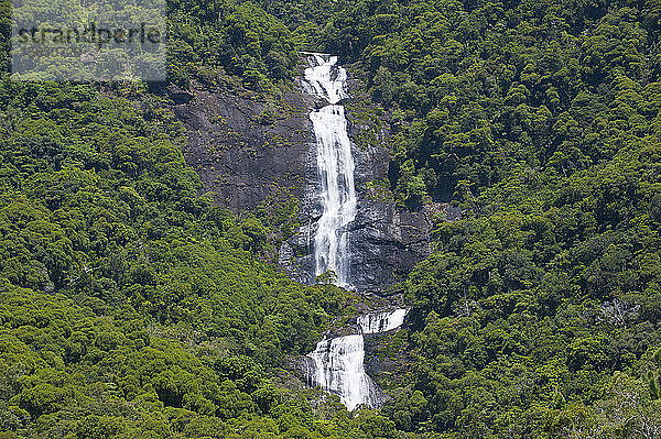 Szenische Ansicht eines Wasserfalls auf einem Berg inmitten von Bäumen  Grande Terre  Neukaledonien