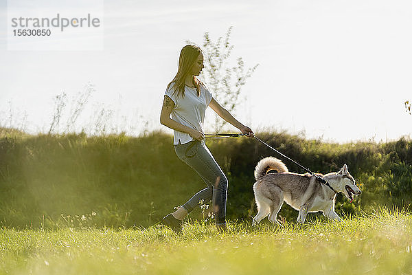 Junge Frau geht mit ihrem Hund in der Natur spazieren