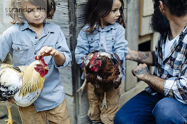 Vater mit zwei Kindern im Hühnerstall auf einem Biohof