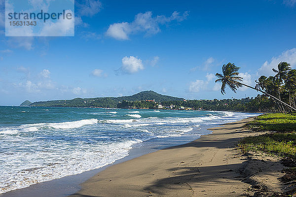 Blick auf den Strand vor blauem Himmel bei Sauteurs  Grenada  Karibik