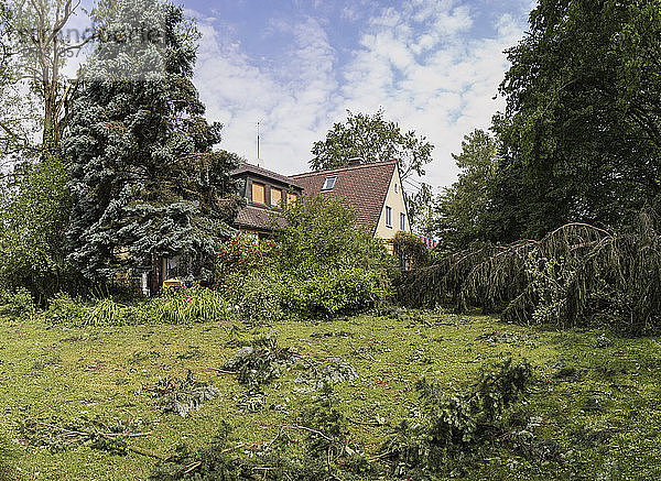 Sturmschaden im Garten eines Einfamilienhauses
