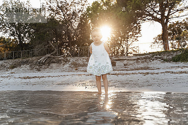 Süßes Kleinkind  das bei Sonnenuntergang am Strand steht