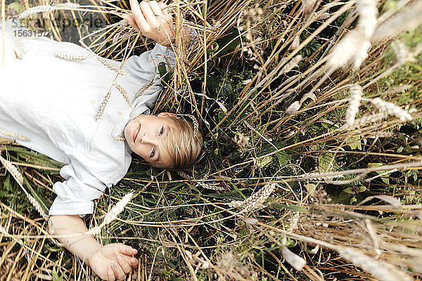 Bildnis eines blonden Jungen mit Haferohr im Mund in einem Haferfeld liegend