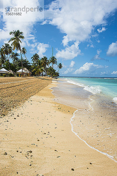 Blick auf die Palmen am Pigeon Point Beach gegen den Himmel  Trinidad und Tobago  Karibik