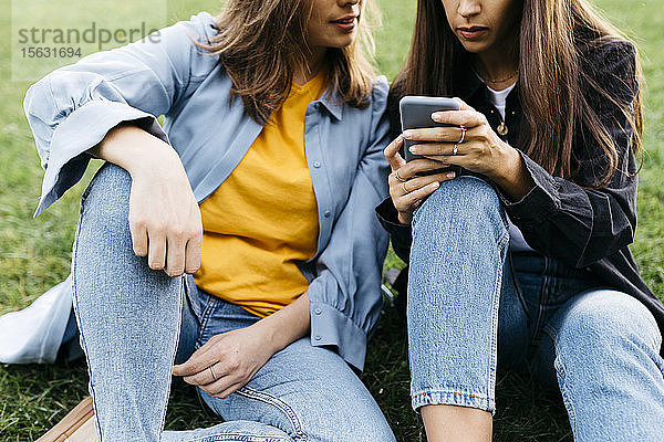 Zwei Freunde schauen auf das Smartphone und sitzen auf einer Wiese in einem Park