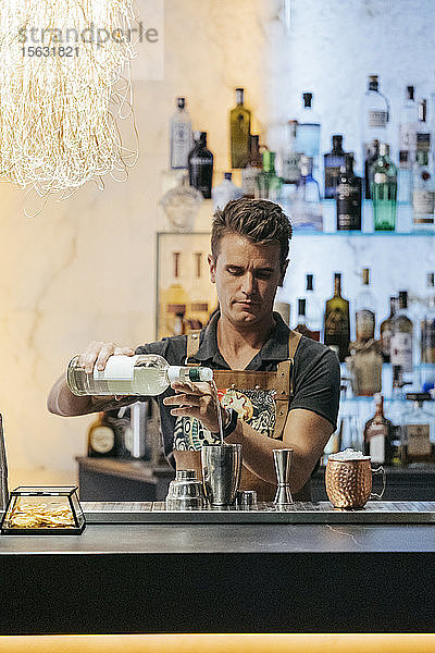 Barkeeper beim Mixen von Cocktails in einer Bar  unter Verwendung eines Cocktailmixers