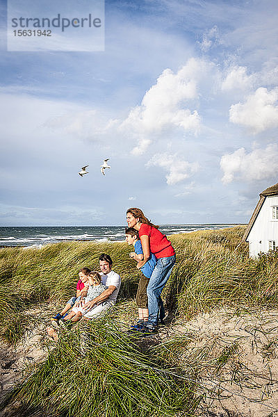 Familie in einer Stranddüne mit Aussicht  Darss  Mecklenburg-Vorpommern  Deutschland