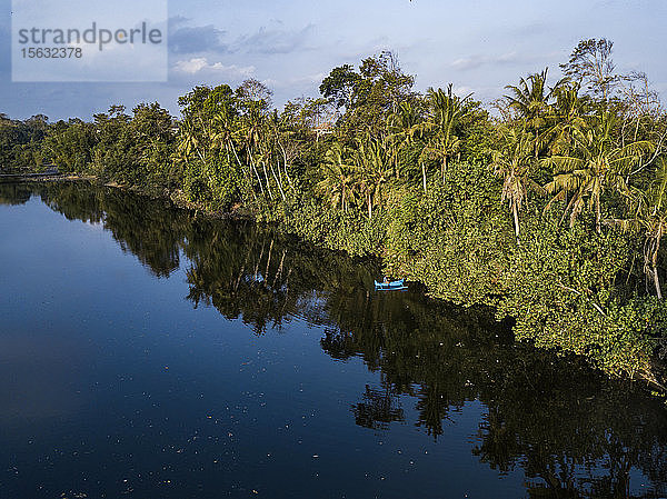 Luftaufnahme eines Bootes auf dem Fluss durch Palmen gegen den Himmel bei Bali  Indonesien