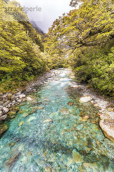 Fluss  Fiordland-Nationalpark  Südinsel  Neuseeland