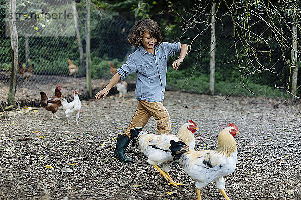 Junge jagt Hühner auf einem Biohof
