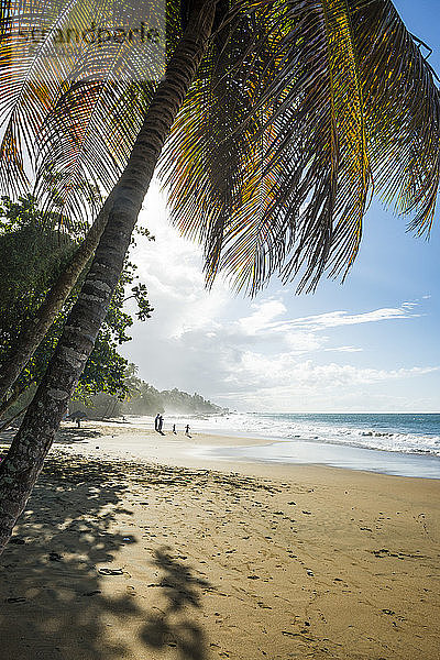 Szenische Ansicht des Meeres gegen den Himmel an einem sonnigen Tag  Stonehaven-Bucht  Tobago  Trinidad und Tobago  Karibik