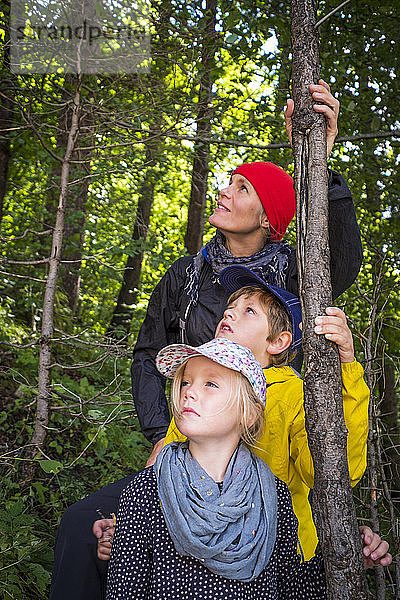 Deutschland  Oberbayern  Mutter und Kinder im Wald