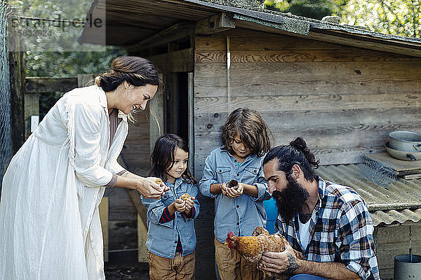 Familie mit zwei Kindern  die auf einem Bio-Bauernhof Hühner und Küken halten