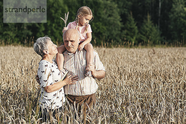 Familienporträt der Großeltern mit ihrer Enkelin in einem Haferfeld