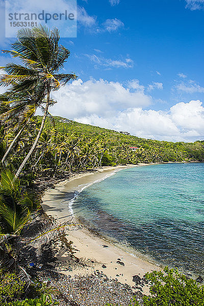Panoramablick auf den Sandstrand von Industry Bay  Bequia  St. Vincent und die Grenadinen  Karibik