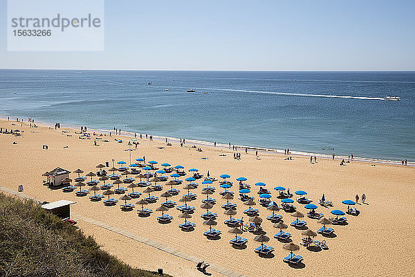 Sonnenliegen und Sonnenschirme am Strand im Sommer  Albufeira  Algarve  Portugal