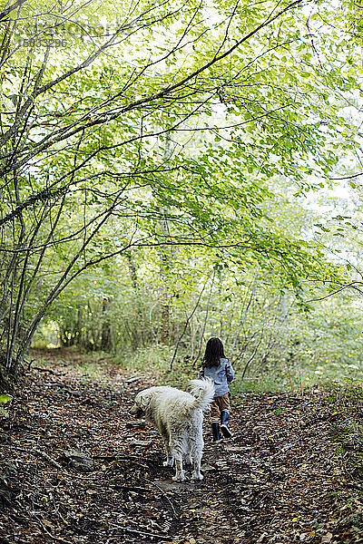 Rückansicht eines Kindes mit Hund im Wald