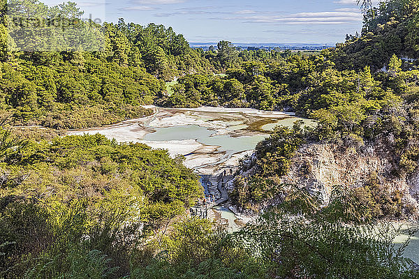 Wai-O-Tapu Thermal Wonderland  Taupo-Vulkanzone  Nordinsel  Neuseeland