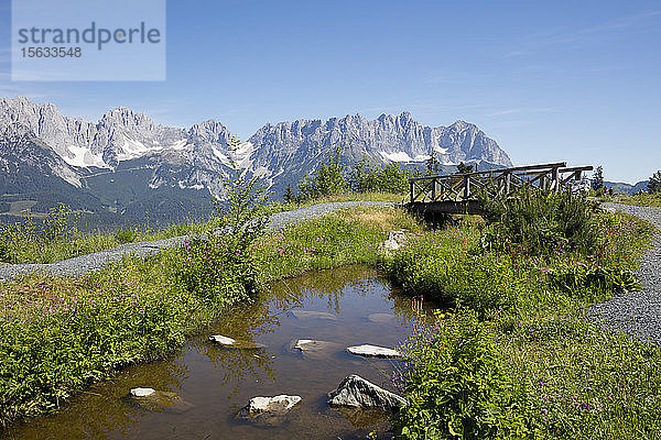Wasser inmitten von Pflanzen gegen das Kaisergebirge am Astberg  KitzbÃ¼hel  Tirol  Österreich