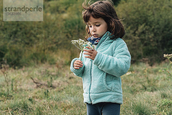 Porträt eines kleinen Mädchens mit Wildblume im Herbst