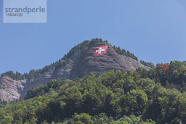 Schweiz  Luzern  Vitznau  Schweizer Fahne am bewaldeten Hang im Sommer