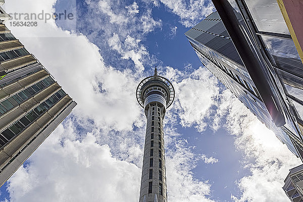 Tiefblick auf den Sky Tower vor bewölktem Himmel in der Stadt  Auckland  Neuseeland