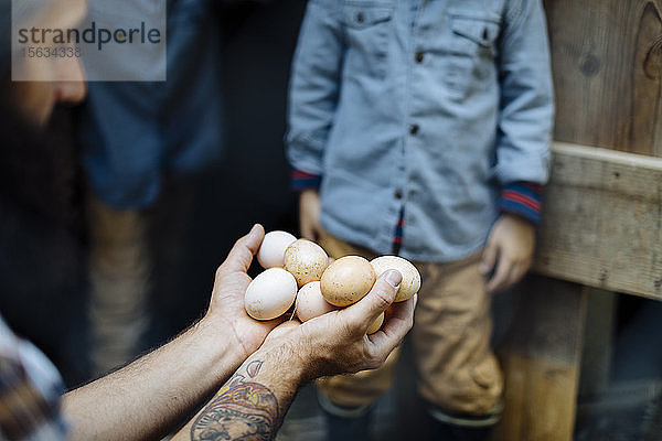 Vater mit zwei Kindern sammelt Eier im Hühnerstall auf einem Biohof