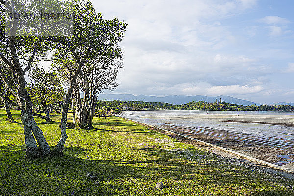 Szenische Ansicht von Bäumen  die am Strand vor wolkigem Himmel wachsen  Noumea  Neukaledonien