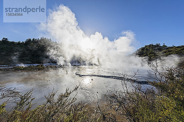 Geothermischer Park Orakei Korako  Vulkanische Zone Taupo  Nordinsel  Neuseeland