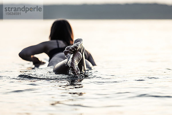 Rückenansicht einer jungen Frau  die bei Sonnenuntergang auf einem Surfbrett liegt  Starnberger See  Deutschland
