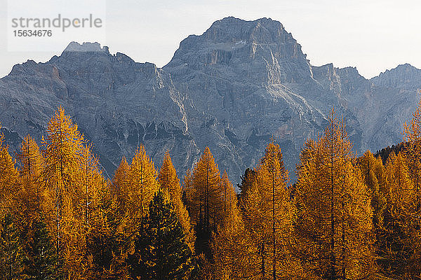 Herbstliche Berglandschaft im Morgenlicht  Dolomiten  Cortina  Italien